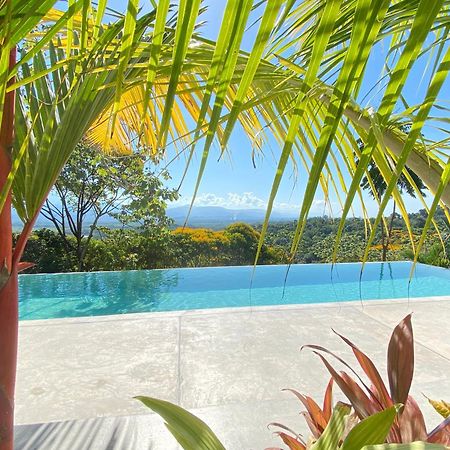 Casa Libertinn マヌエル・アントニオ エクステリア 写真